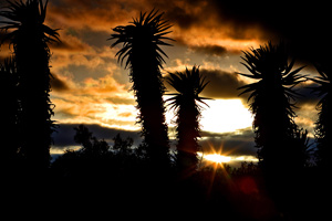 Oshana on location in the Klein Karoo