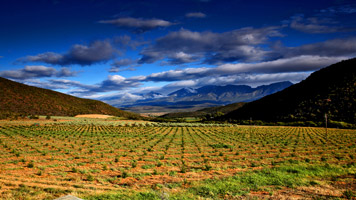 Oshana on location in the Klein Karoo